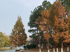 -白塘生态植物园