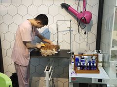 -萌兽医馆·眼科·异宠专科(三里屯店)