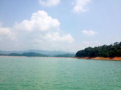 -广州市流溪河国家森林公园