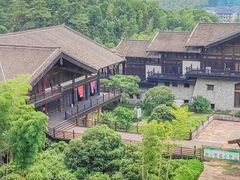 -大唐贡茶院