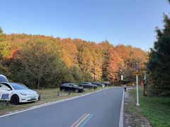 -南京市无想山景区