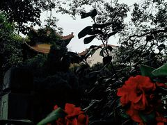 -宝通禅寺