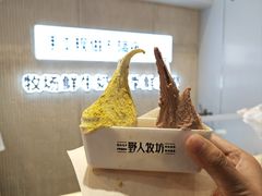 -野人先生现做冰淇淋(西安赛格店)