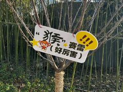 -合肥野生动物园
