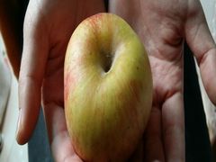 阿克苏苹果-一鸣真鲜奶吧(景城花园奶吧)