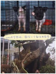 -可可天空农场(中大店)