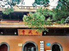 -亭林园-华藏寺