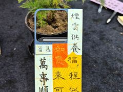 -琴书和韵(上南馆旗舰店)