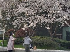 -都恩客(高岛屋百货店)