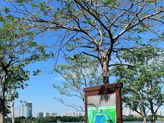 -海珠湖公园