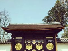 -醍醐寺