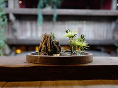 -普洱茶府(博乐广场店)