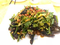 -鸽王世家(东华东路店)