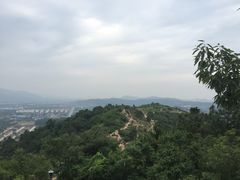 -灵岩山风景区