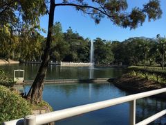 -大埔公路-马料水段香港中文大学(公交站)