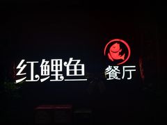 -金陵红鲤鱼餐厅(孝陵卫紫金山店)