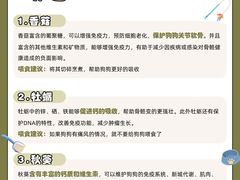 -守诺宠物医院·眼科· 特色牙科·异宠专科(虹口店)