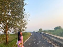 -合肥滨湖国家森林公园