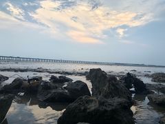 -宝安西湾红树林湿地公园