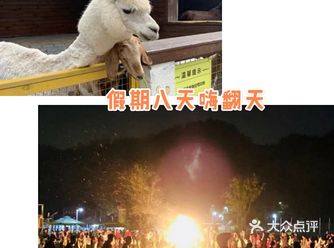 百乐园亲子无动力户外乐园，让你玩得开心  十一假期即