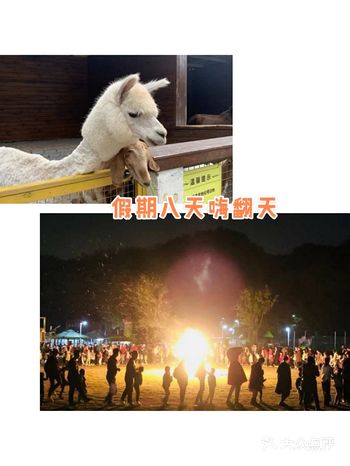 百乐园亲子无动力户外乐园，让你玩得开心  十一假期即
