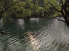 -贵阳市花溪国家城市湿地公园