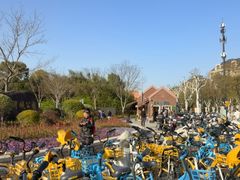-新江湾城公园