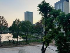 -后襄河公园