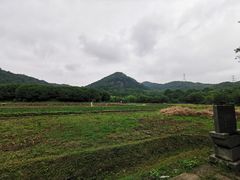 -八卦田遗址公园