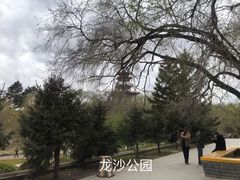 -龙沙公园
