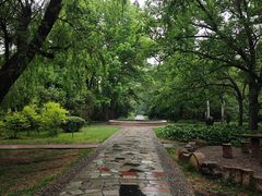 -黑龙江省森林植物园
