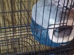 -四季暖堂·融合江浙菜(N1955创业园店)