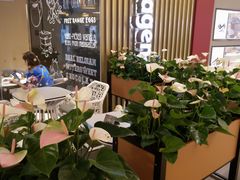 -哈根达斯(皇城恒隆广场店)