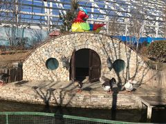 -南宫五洲植物乐园