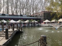 -大鹅岛绿色生态美食园