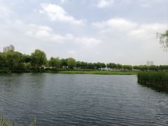 -金银湖国家城市湿地公园