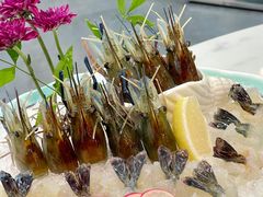 -喜聚薈·花膠雞海鮮火鍋(越秀店)