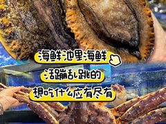 -小海豚•老字号海鲜餐厅(天涯店)