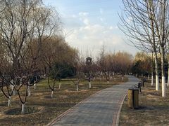 -永定河休闲森林公园