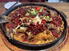-老板恋上鱼(恒隆广场店)