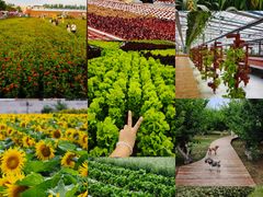 -北国之春国宴(乌兰察布店)