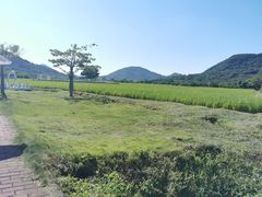 -艾米稻香小镇