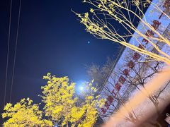 -峨嵋酒家(地安门店)