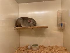 -龙猫仔乐园(惠福东路店)