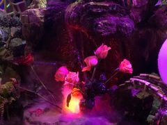 -醉小酒馆·川菜·江湖菜·重庆菜(观音桥旗舰店)