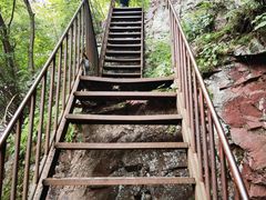 -云岫谷游猎自然风景区