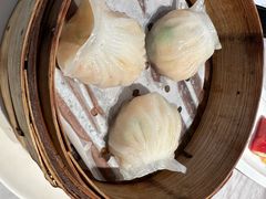 -陶兰居·香港饭店·海鲜大排档(圆融时代广场店)