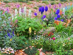 -上海共青森林公园