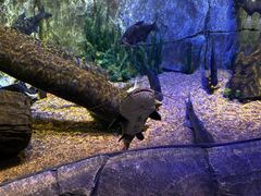 -沈阳海洋探索中心