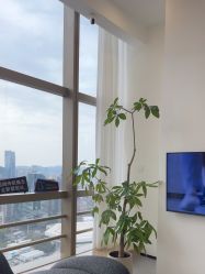 -JNK皮肤管理中心